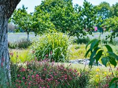 -汉长安城未央宫国家考古遗址公园