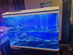 -熙楼(翠湖店)
