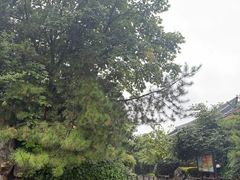 -马老三肉丁胡辣汤(西一路店)