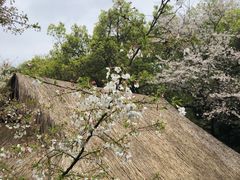 -中国茶叶博物馆(双峰馆区)
