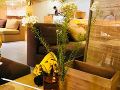 -柴务处·柴犬主题狗咖