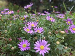 -白鹭湾湿地公园