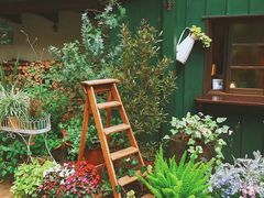 -三鹰之森吉卜力美术馆