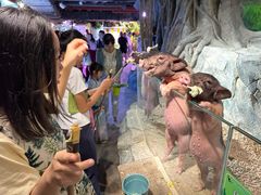 -正佳雨林生态植物园