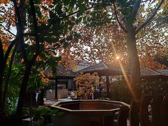 -春晖园度假酒店温泉