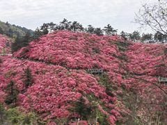 -木兰云雾山