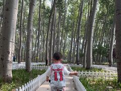 -仁和公园(顺义区)