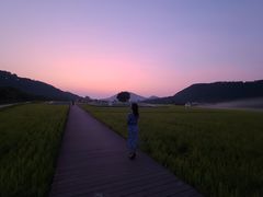 -艾米稻香小镇