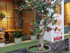 -静一·疆味小馆(黄河路店)