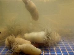 -健眺小海鲜(临海后山店)