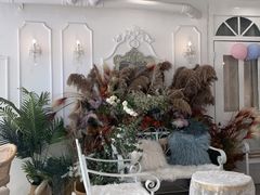 -共舞时光猫咖·狗咖(新街口店)