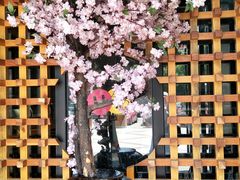 -白金汉爵大酒店(相城店)