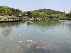 -南京银杏湖乐园