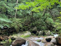 -本溪汤沟绿石谷森林公园