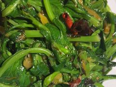 -滇铺子·云南特色菜·第九届野生菌美食节(东风东路c86店)