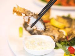 -骏莱海鲜鱼港(五角场店)