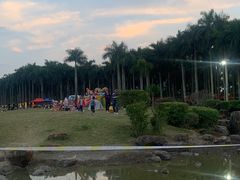 -南宁花花大世界景区