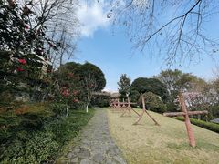 -南山植物园