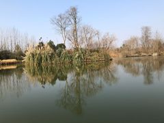 -白鹭湾湿地公园