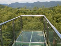 -陶祖圣境风景区