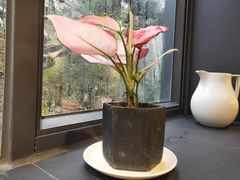 -朴厝私房菜(鼓浪屿店)