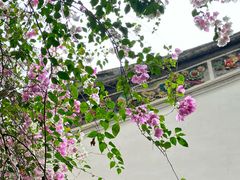 -深圳国际园林花卉博览园