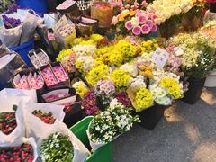 -循礼门鲜花花市(武汉循礼门店)