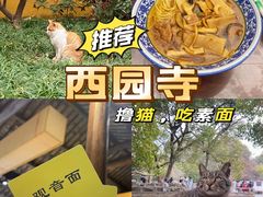 -西园寺