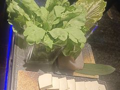-王家渡火锅店(亦庄店)