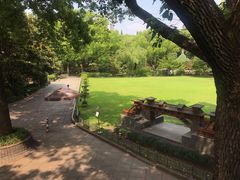 -申粤轩酒楼·三十年粤菜经典(丁香花园店)