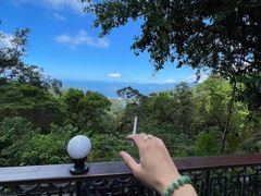 -太平山餐厅(山顶道店)