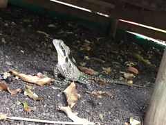-可伦宾野生动物保护区