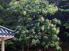-火炉山森林公园
