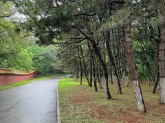 -沈阳市东陵公园