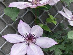 -贵州省植物园