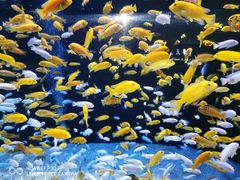-成都浩海立方海洋公园