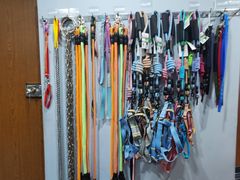 -瑞派动物医院·绝育·犬猫全科·预防医学(光景江南中店)