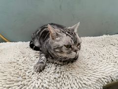 -小时光咖啡馆(北锣鼓巷店)