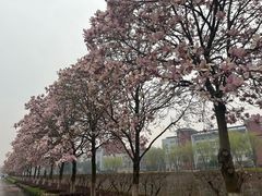-南京信息职业技术学院