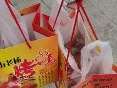 -宜良狗街老杨烤鸭店
