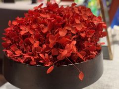 -星·South Beauty·俏江南(国贸店)