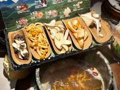 -芸山季·云南山珍菌火锅(人民广场来福士店)