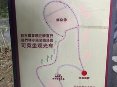 -都江堰中华大熊猫苑