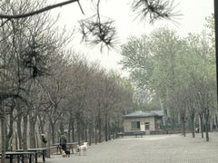 -望湖公园