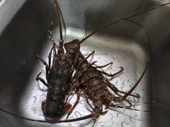 -大勇海鲜(叙康里店)