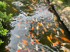 -厦门日月谷温泉渡假村