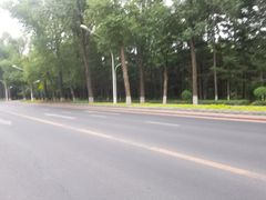 -长春市南湖公园