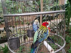 -南宫五洲植物乐园