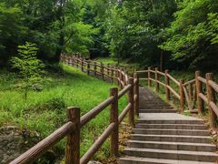 -白水寺森林公园