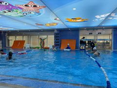 -戊辰亲子游泳俱乐部